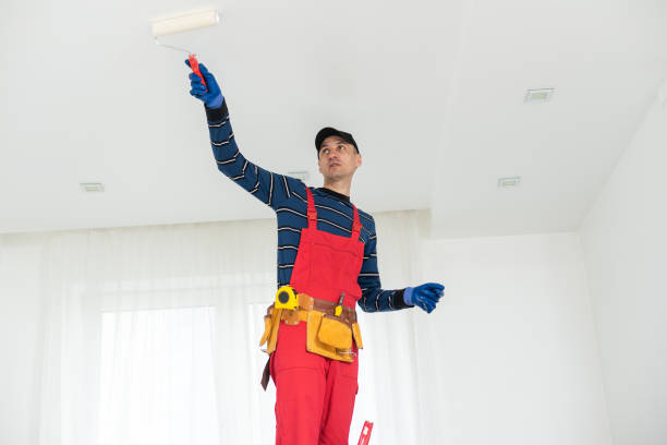 Best Repainting for Renovations  in Budd Lake, NJ